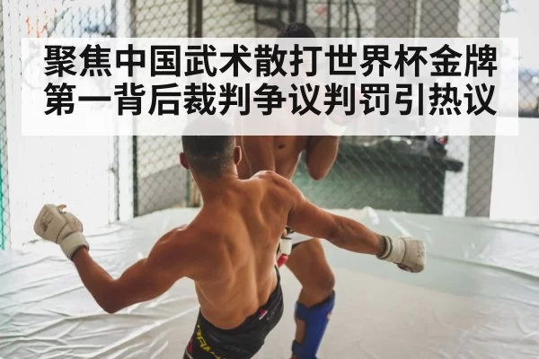 聚焦中国武术散打世界杯金牌第一背后裁判争议判罚引热议